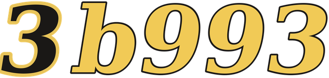 3b993 logo